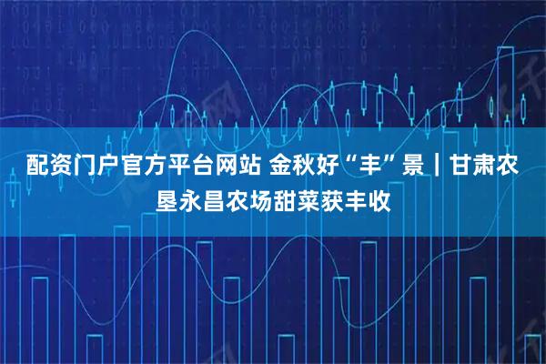 配资门户官方平台网站 金秋好“丰”景|甘肃农垦永昌农场甜菜获丰收